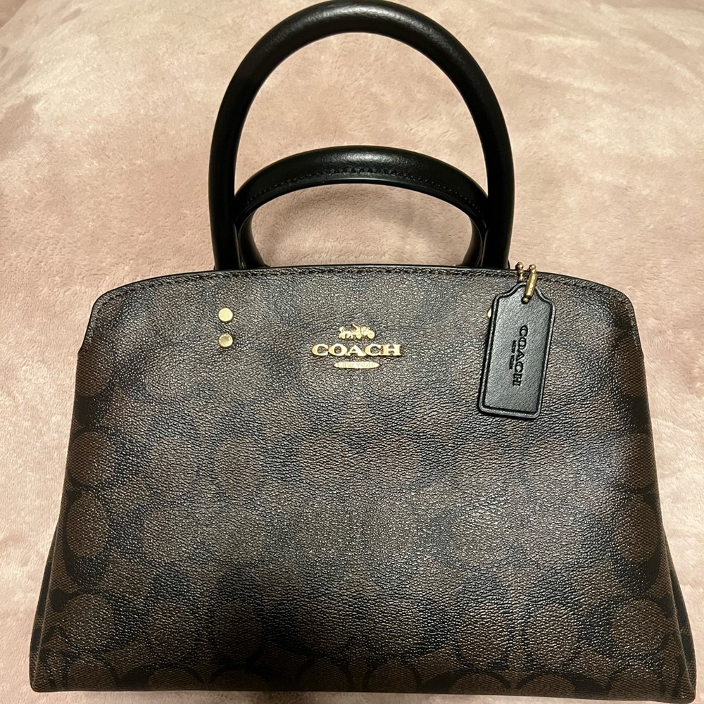 Coach Lillie Carryall mini In Signature Canvas